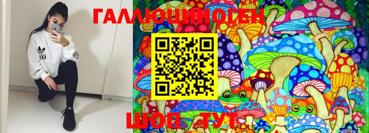 Псилоцибиновые грибы Psilocybine cubensis Фурманов