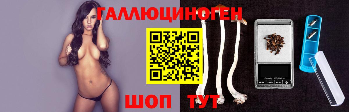 Фурманов  Псилоцибиновые грибы Cubensis  Галлюциногенные грибы GOLDEN TEACHER  Вход с VPN 